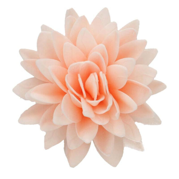 Ätbar Blomma - Pion, aprikos ombre - FunCakes