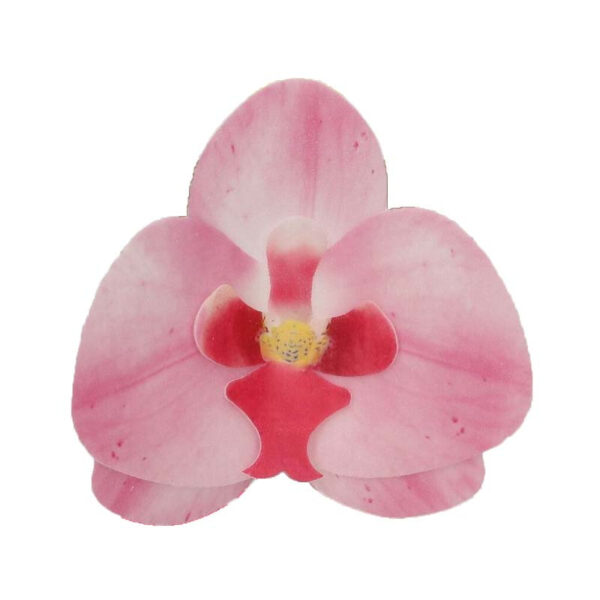 Ätbara Blommor - Orkidé, rosa - FunCakes