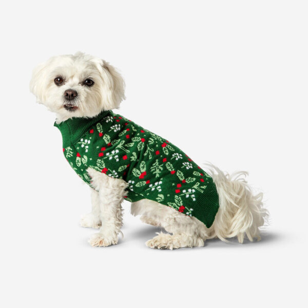 Hundtröja - Holly print