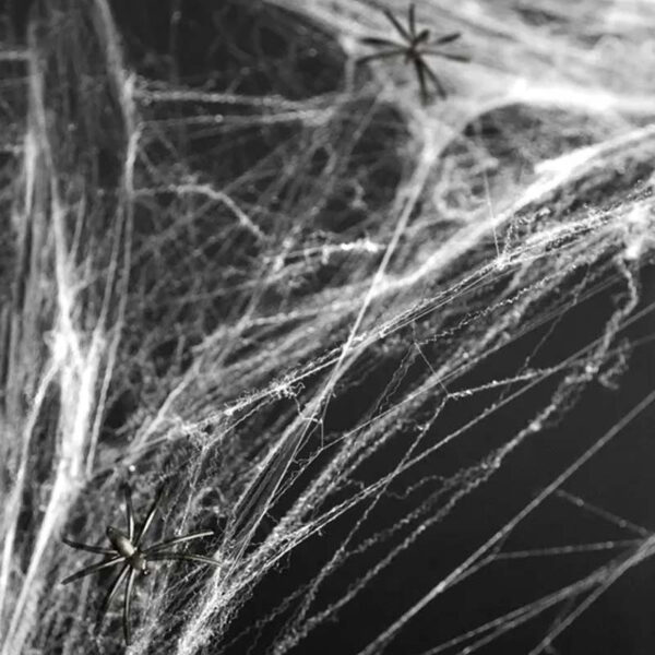 Vitt spindelnät Halloween